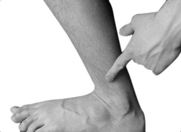 Иллюстрация к книге — Большой самоучитель исцеляющих точек. Подробный атлас, приемы и упражнения [i_245.jpg]