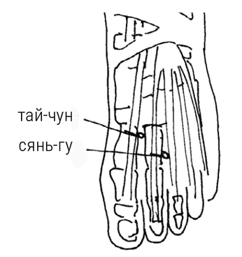 Иллюстрация к книге — Большой самоучитель исцеляющих точек. Подробный атлас, приемы и упражнения [i_254.jpg]