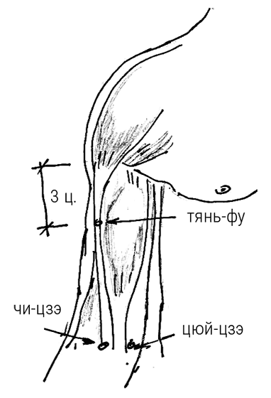 Иллюстрация к книге — Большой самоучитель исцеляющих точек. Подробный атлас, приемы и упражнения [i_260.jpg]
