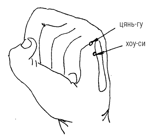 Иллюстрация к книге — Большой самоучитель исцеляющих точек. Подробный атлас, приемы и упражнения [i_261.jpg]