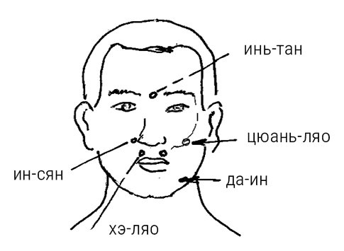 Иллюстрация к книге — Большой самоучитель исцеляющих точек. Подробный атлас, приемы и упражнения [i_272.jpg]
