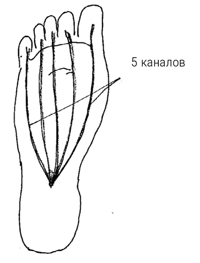 Иллюстрация к книге — Большой самоучитель исцеляющих точек. Подробный атлас, приемы и упражнения [i_277.jpg]
