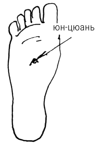Иллюстрация к книге — Большой самоучитель исцеляющих точек. Подробный атлас, приемы и упражнения [i_278.jpg]