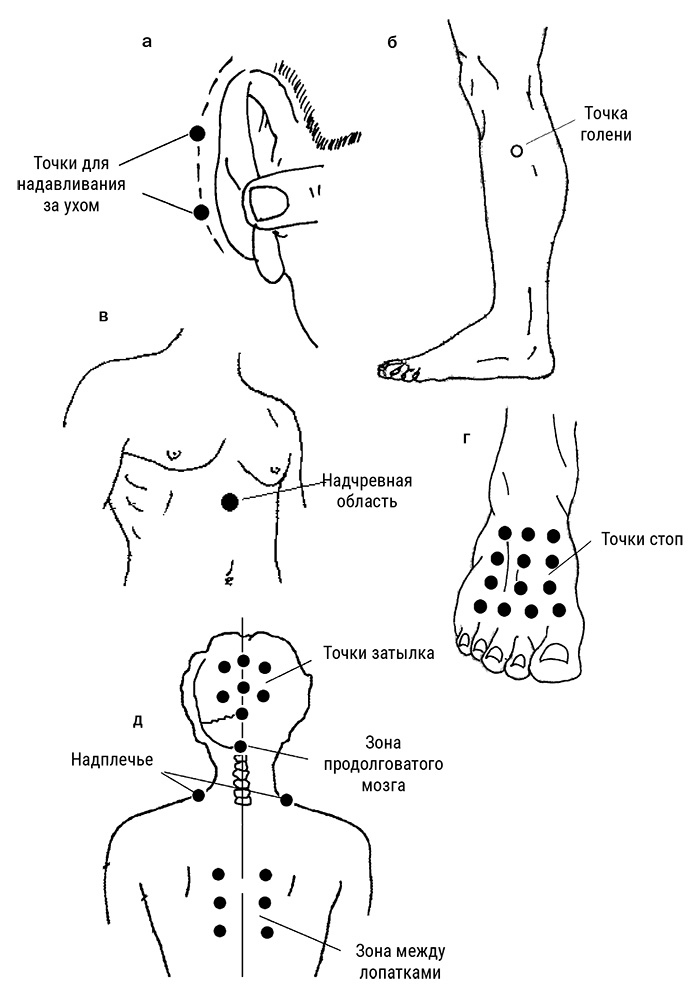 Иллюстрация к книге — Большой самоучитель исцеляющих точек. Подробный атлас, приемы и упражнения [i_287.jpg]