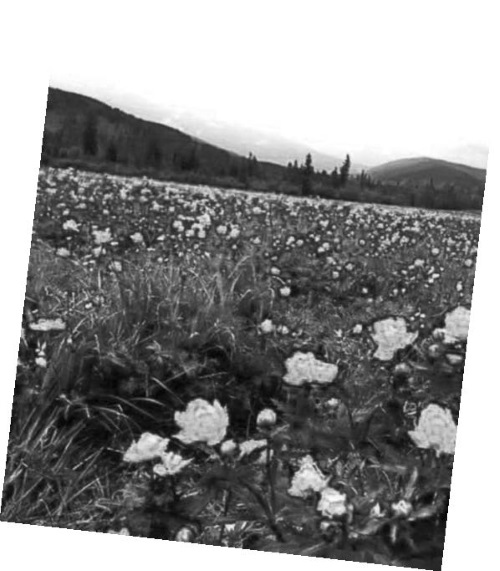 Иллюстрация к книге — Приеду к обеду. Мои истории с моей географией [i_035.jpg]