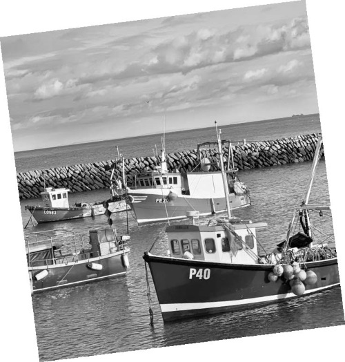 Иллюстрация к книге — Приеду к обеду. Мои истории с моей географией [i_050.jpg]