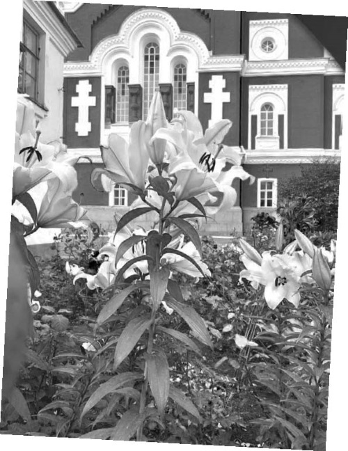 Иллюстрация к книге — Приеду к обеду. Мои истории с моей географией [i_072.jpg]