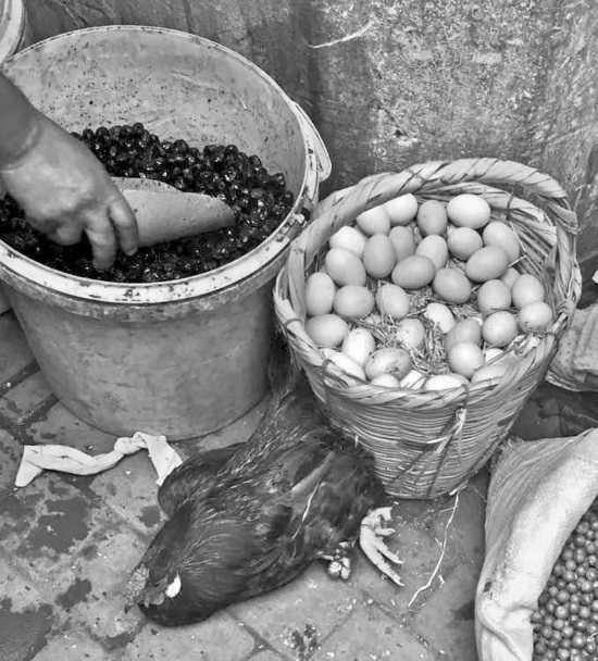 Иллюстрация к книге — Приеду к обеду. Мои истории с моей географией [i_077.jpg]