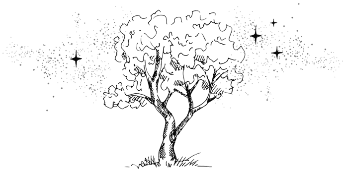 Иллюстрация к книге — В бессердечном лесу [i_004.jpg]