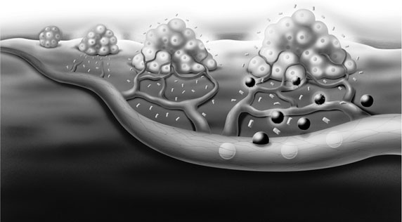 Иллюстрация к книге — Масштаб. Универсальные законы роста, инноваций, устойчивости и темпов жизни организмов, городов, экономических систем и компаний [i_042.jpg]