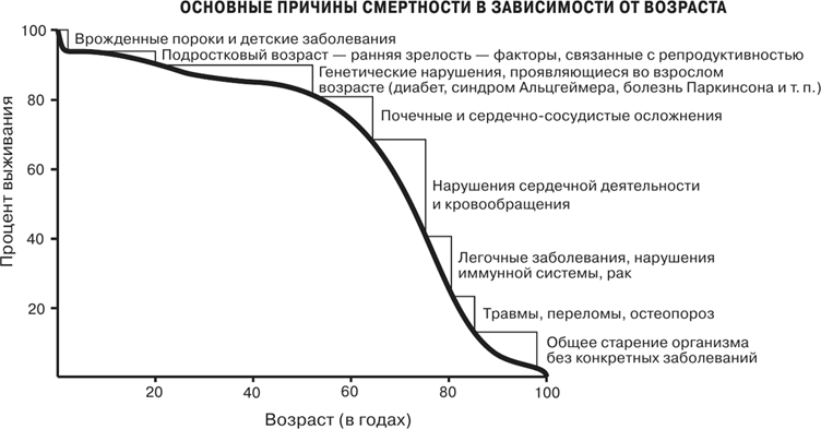 Иллюстрация к книге — Масштаб. Универсальные законы роста, инноваций, устойчивости и темпов жизни организмов, городов, экономических систем и компаний [i_049.jpg]
