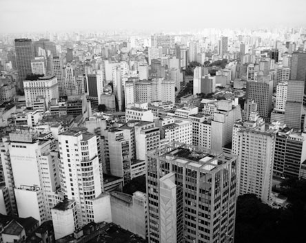 Иллюстрация к книге — Масштаб. Универсальные законы роста, инноваций, устойчивости и темпов жизни организмов, городов, экономических систем и компаний [i_061.jpg]