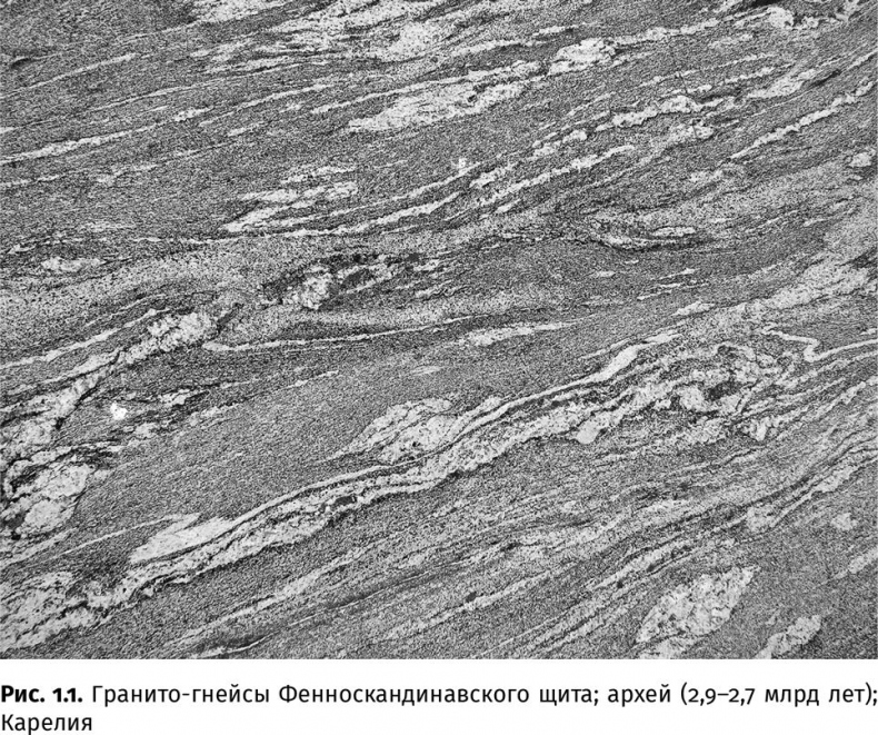 Иллюстрация к книге — Сотворение Земли. Как живые организмы создали наш мир [i_004.jpg]