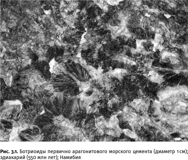 Иллюстрация к книге — Сотворение Земли. Как живые организмы создали наш мир [i_011.jpg]