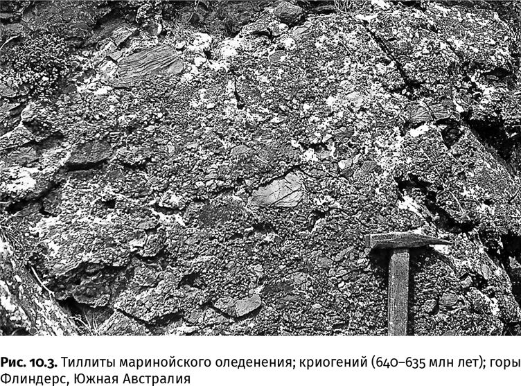 Иллюстрация к книге — Сотворение Земли. Как живые организмы создали наш мир [i_022.jpg]