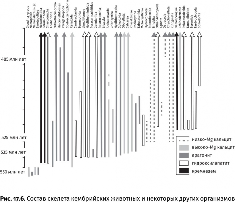 Иллюстрация к книге — Сотворение Земли. Как живые организмы создали наш мир [i_049.jpg]