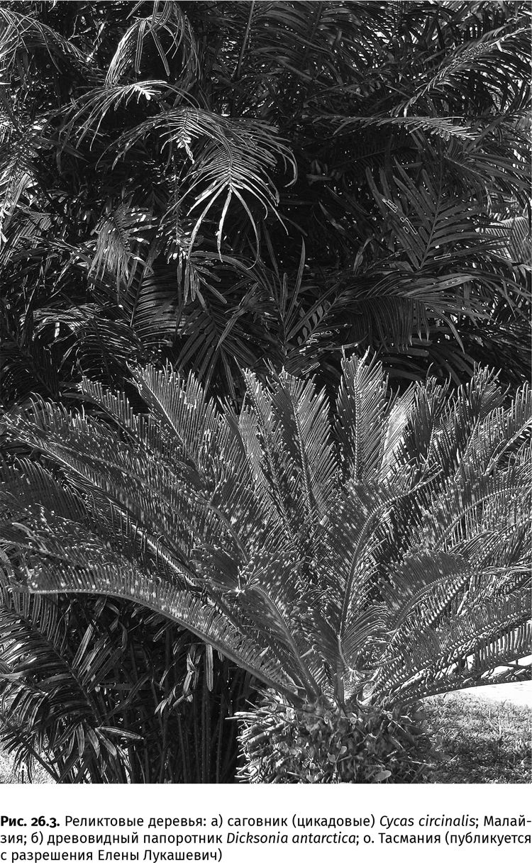 Иллюстрация к книге — Сотворение Земли. Как живые организмы создали наш мир [i_091.jpg]