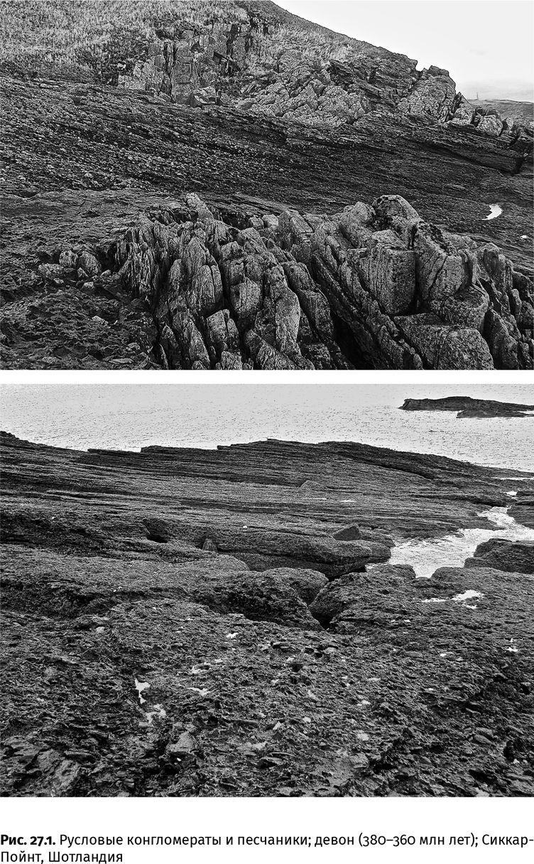 Иллюстрация к книге — Сотворение Земли. Как живые организмы создали наш мир [i_093.jpg]