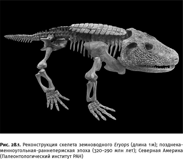 Иллюстрация к книге — Сотворение Земли. Как живые организмы создали наш мир [i_094.jpg]