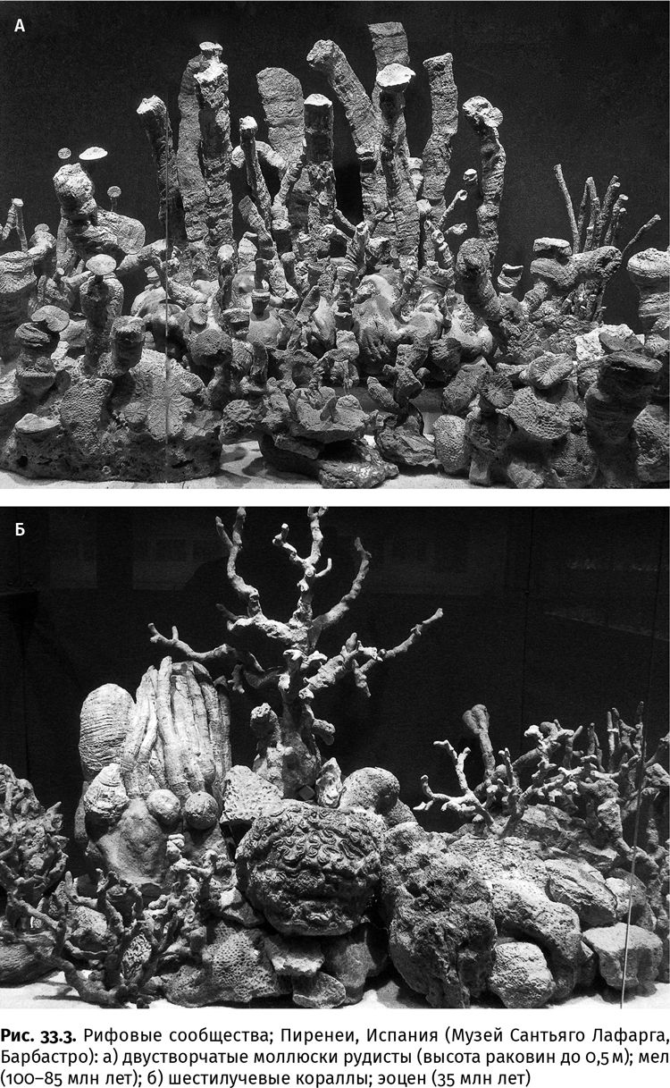 Иллюстрация к книге — Сотворение Земли. Как живые организмы создали наш мир [i_105.jpg]