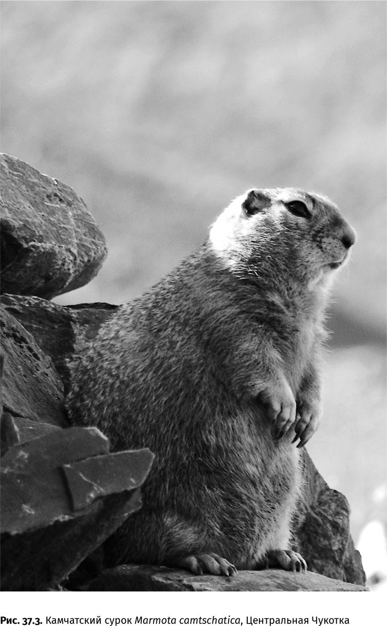 Иллюстрация к книге — Сотворение Земли. Как живые организмы создали наш мир [i_133.jpg]