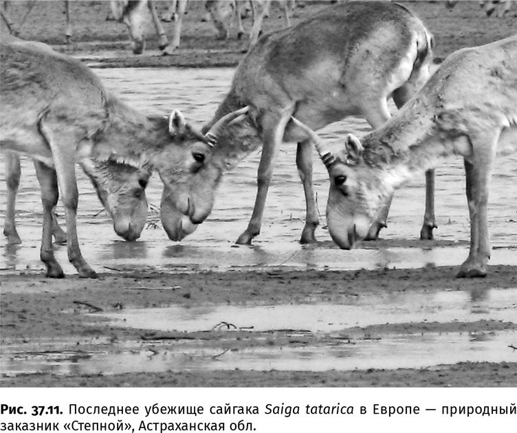 Иллюстрация к книге — Сотворение Земли. Как живые организмы создали наш мир [i_143.jpg]