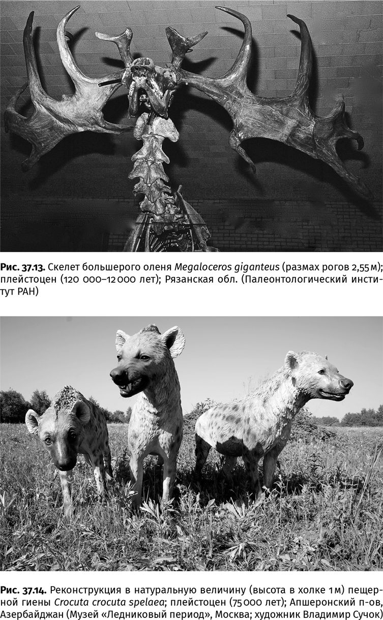 Иллюстрация к книге — Сотворение Земли. Как живые организмы создали наш мир [i_145.jpg]