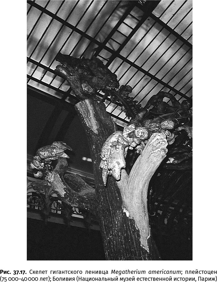 Иллюстрация к книге — Сотворение Земли. Как живые организмы создали наш мир [i_149.jpg]