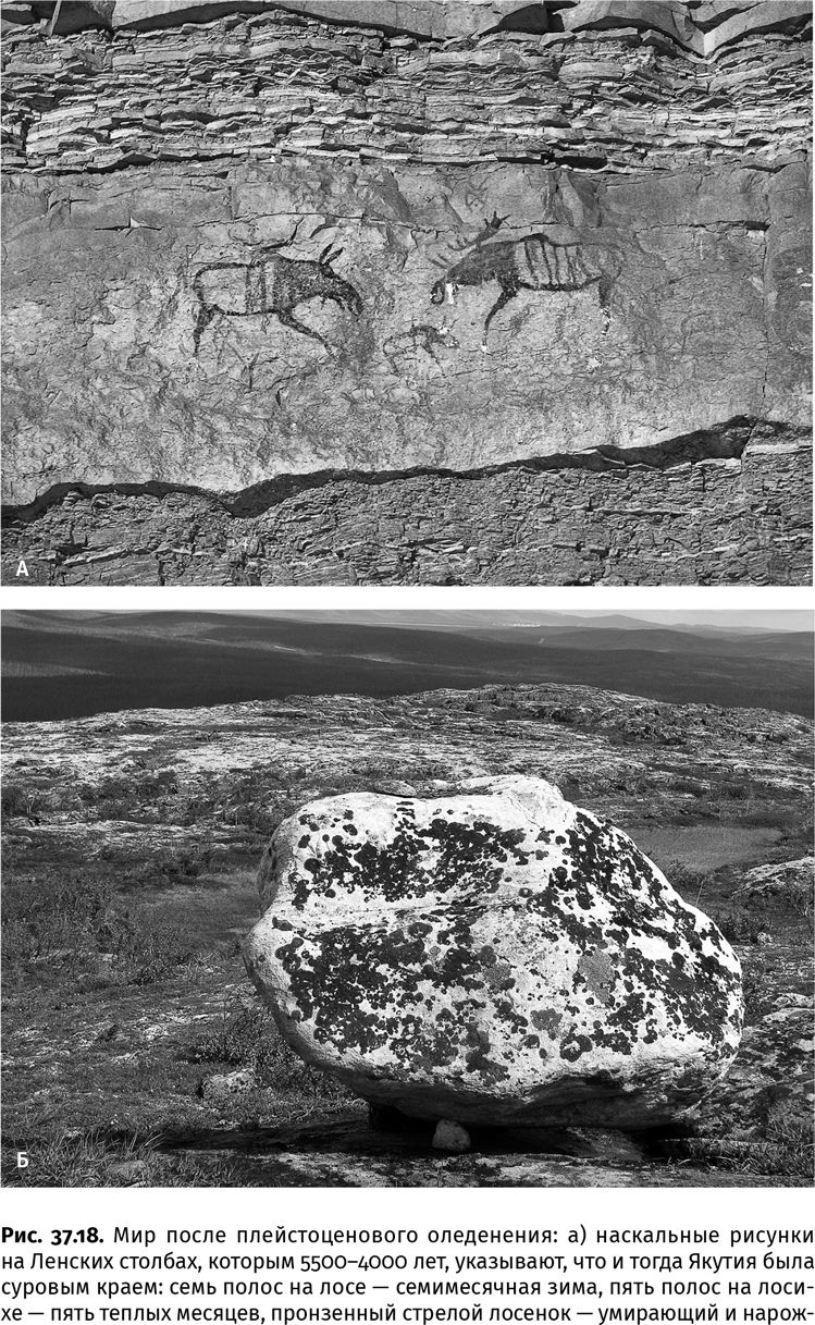 Иллюстрация к книге — Сотворение Земли. Как живые организмы создали наш мир [i_150.jpg]