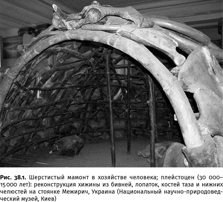 Иллюстрация к книге — Сотворение Земли. Как живые организмы создали наш мир [i_152.jpg]