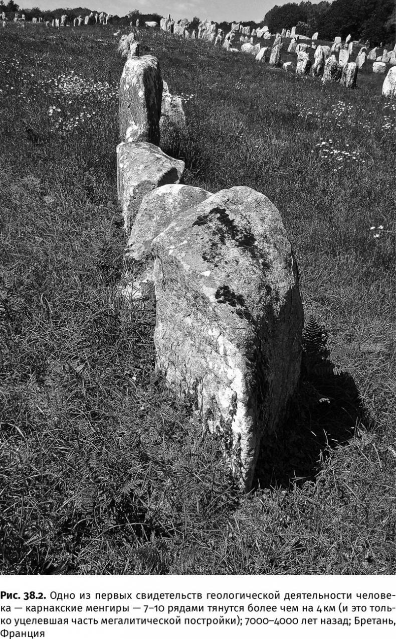 Иллюстрация к книге — Сотворение Земли. Как живые организмы создали наш мир [i_153.jpg]