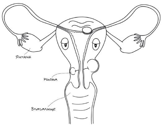 Иллюстрация к книге — Женское здоровье: между нами девочками [i_011.jpg]