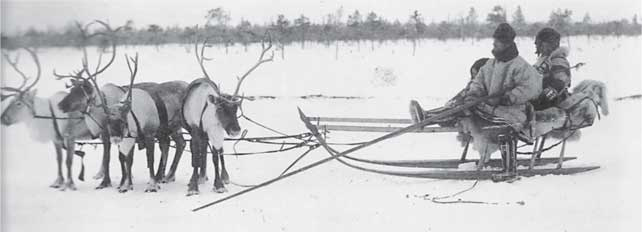 Иллюстрация к книге — 1917–1920. Огненные годы Русского Севера [i_010.jpg]