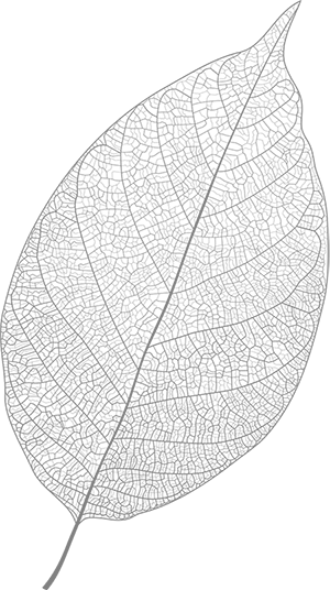 Иллюстрация к книге — Мудрость беспокойства. Как научиться слушать себя, когда сердце не на месте [i_001.jpg]