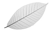 Иллюстрация к книге — Мудрость беспокойства. Как научиться слушать себя, когда сердце не на месте [i_045.jpg]