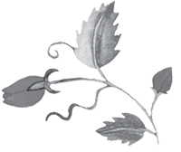 Иллюстрация к книге — Дева в саду [i_003.jpg]