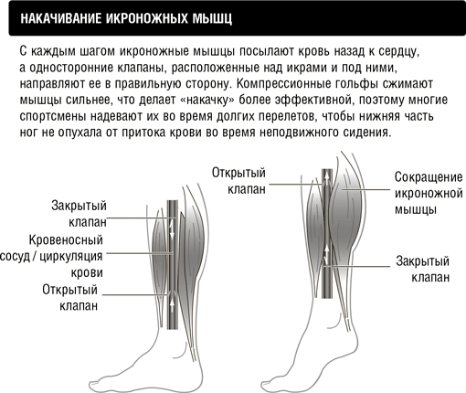 Иллюстрация к книге — Кардио или силовая? Какие нагрузки подходят именно вам [i_003.jpg]