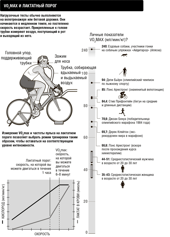 Иллюстрация к книге — Кардио или силовая? Какие нагрузки подходят именно вам [i_005.jpg]