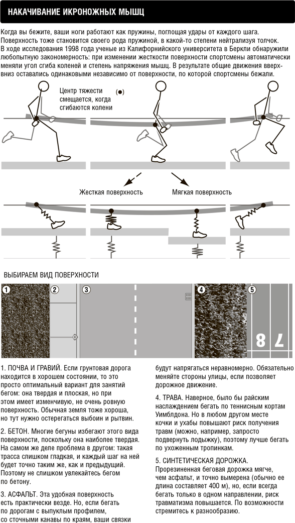 Иллюстрация к книге — Кардио или силовая? Какие нагрузки подходят именно вам [i_008.jpg]