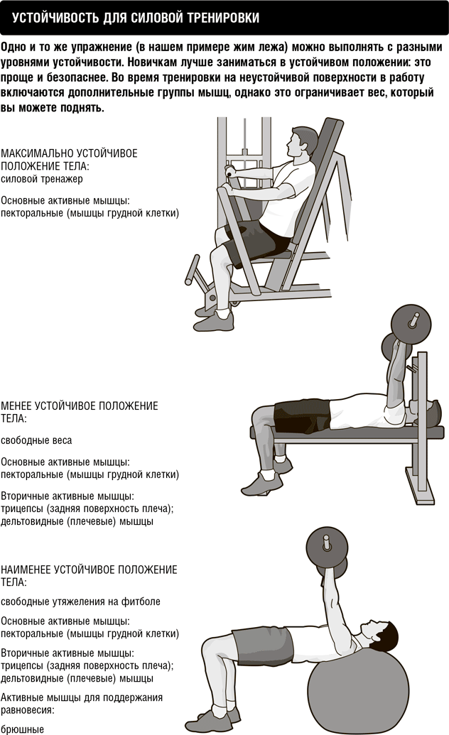 Иллюстрация к книге — Кардио или силовая? Какие нагрузки подходят именно вам [i_010.jpg]