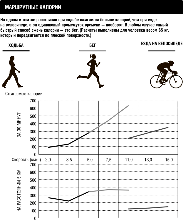 Иллюстрация к книге — Кардио или силовая? Какие нагрузки подходят именно вам [i_018.jpg]