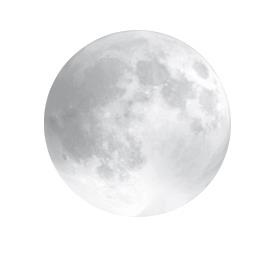 Иллюстрация к книге — Лунное дитя [i_001.jpg]