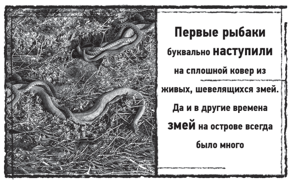 Иллюстрация к книге — Мыс Черных сов [i_006.jpg]