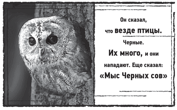 Иллюстрация к книге — Мыс Черных сов [i_014.jpg]