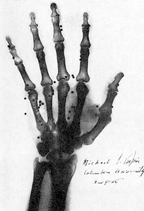 Иллюстрация к книге — Солнечное вещество и другие повести, а также Жизнь и судьба Матвея Бронштейна и Лидии Чуковской (сборник) [i_040.jpg]