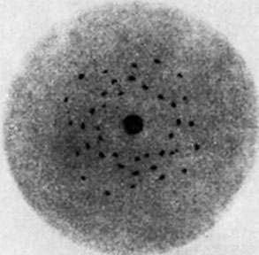 Иллюстрация к книге — Солнечное вещество и другие повести, а также Жизнь и судьба Матвея Бронштейна и Лидии Чуковской (сборник) [i_052.jpg]