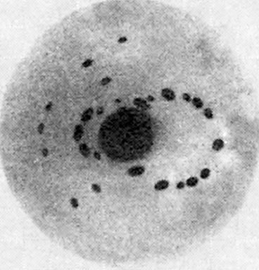 Иллюстрация к книге — Солнечное вещество и другие повести, а также Жизнь и судьба Матвея Бронштейна и Лидии Чуковской (сборник) [i_053.jpg]