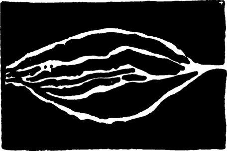 Иллюстрация к книге — Солнечное вещество и другие повести, а также Жизнь и судьба Матвея Бронштейна и Лидии Чуковской (сборник) [i_060.jpg]