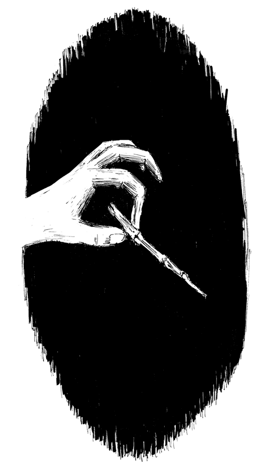 Иллюстрация к книге — Сад костей [i_011.jpg]