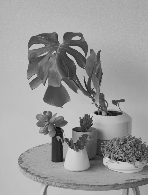 Иллюстрация к книге — Гормон – и с чем его едят. Рецепты женского здоровья [i_021.jpg]